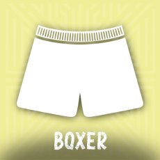 boxer